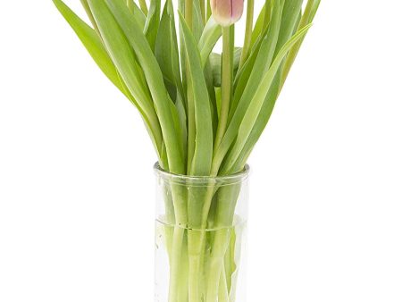 KaBloom Bouquet of Fresh Pink Tulips with Vase (Farm-Fresh, Cut-to-Order and Homegrown in the USA) For Cheap