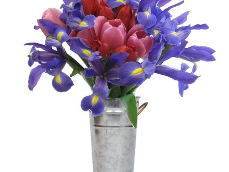 Stargazer Barn - Petite Bouquet of Tulips & Iris with Vase - Farm Fresh Online Hot Sale