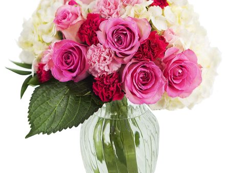 Will Deliver by Valentine s Day: Let Them Eat Cake Roses and Hydrangeas Bouquet - With Vase on Sale