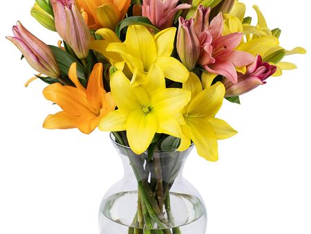 Benchmark Bouquets 12 Stem Assorted Asiatic Lilies, With Vase (Fresh Cut Flowers) Online now