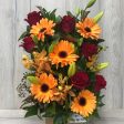 The happy Bright Box not inc red roses will have orange or yellow roses Online