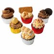 Assorted Cupcakes Supply