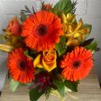 Posy in bright colours Sale