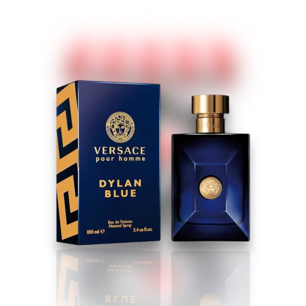 VERSACE POUR HOMME DYLAN BLUE 100ML Online now