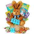 Art of Appreciation Gift Baskets Somebunny Special Online now