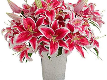 Stargazer Barn - Large Bouquet of Stargazer Lilies with Galvanized French Bucket Style Vase - Farm Fresh Hot on Sale