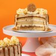 The Biscoff 6  Cake Online Sale