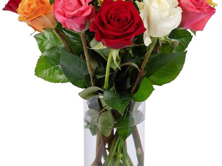 Benchmark Bouquets Dozen Rainbow Roses, With Vase (Fresh Cut Flowers) Supply