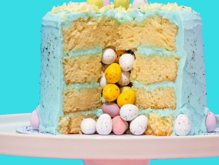 The Mini Egg Cake Fashion